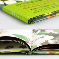 一粒种子的旅行绘本一年级易烊千玺 青少年文学科普儿童读物教辅绘画漫画连环画卡通故事童书绘本2-3-6-8岁小学生少儿漫