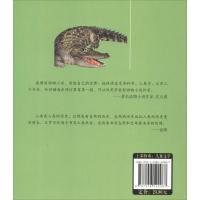 恐鳄之家/袁博动物小说新经典