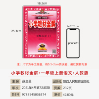 2021新版薛金星小学教材全解一年级语文上册人教部编版1年级语文教材看图说话写话训练53天天练学而思学霸笔记小学语文基础