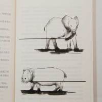 2021新版动物素描布封语文教材推荐书目学校推荐&ldquo;快乐读书吧&rdquo;阅读三四五年级课外阅读小学生课外书