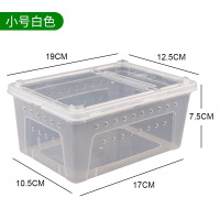 亚克力手提便携饲养箱希瑾同款蜘蛛角蛙守宫宠物蛇养殖盒龟盒 爬宠盒小[19X12X7.5]不带手提