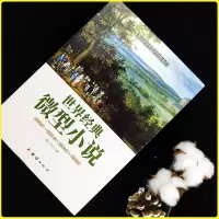 [正版厚本16开]微型小说选刊正版全集世界经典微型小说集小小说一百多年一百多位著名大师的短篇佳作微型小说精选短篇小说