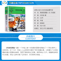 正版 再被狐狸骗一次 动物小说大王沈石溪品藏书系中小学生课外阅读书不带拼音儿童文学书籍 浙江少年儿童出版社225页DB