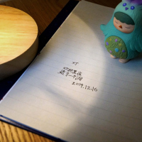 正版 姜二嫚的诗 孩子们的诗中初露锋芒灯把黑夜烫了一个洞 诗作轰动网络00后小诗人姜二嫚 诗歌诗词 鲁藜诗歌奖 华文入围