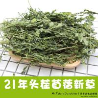 21年当夏新草 苜蓿草 紫花苜蓿草龙猫兔兔 净重750g