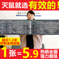 超强力大号粘鼠板贴灭鼠器抓老鼠胶加诱饵夹家用神器魔毯