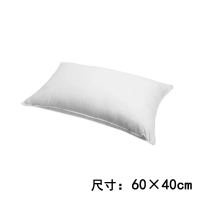 枕头单人学生宿舍简约男整头女可爱家用双人一对护颈椎枕芯带枕套 白色 1枕芯/不含枕套