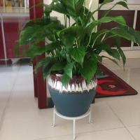 欧式落地式单层铁艺矮花架子阳台客厅花盆架子简约特价绿萝小花架 小号黑色-1[拍3发4]