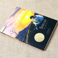 国际大奖小说 喜乐与我三四五六年级课外书阅读 7-10-12小学生儿童文学读物少儿故事书籍非注音版 阅读文学书籍新蕾出版