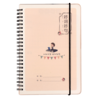 小学生日积月累阅读摘记本A5线圈加厚大号读书笔记采蜜集一二年级词语积累课外阅读摘写记录本 好词好句单本50张(共100页