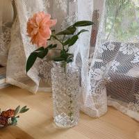 少女心放映室 ins复古透明浮雕玻璃小花瓶 学生房间绿植装饰摆件 小号细菱 不含花朵