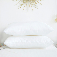 枕芯+枕套一只装成人可拆洗枕芯枕头套装单人学生枕头一个一对拍2 单独白枕芯(不含枕套)一只装