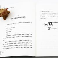 国际大奖小说 我是你的隐形朋友 非注音小学生课外阅读儿童文学读物 6-12周岁故事书书籍 班主任推荐三四五六年级课外阅读