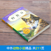 野狼谷 沈石溪中外动物小说精品升级版 9-12岁儿童文学励志动物成长故事 三四五六年级小学生课外阅读书 安徽少年儿童出版