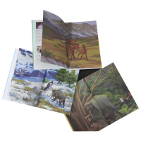 野马奔腾 沈石溪野生动物救助站 6-12周岁小学生一二三四五六年级课外阅读经典文学故事书籍寒暑假老师推荐阅读书目