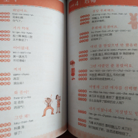 零基础韩语入门 韩语自学入门 韩语入门 自学 零基础 初级 韩国语 韩语书籍 零基础自入门 从零开始学韩语