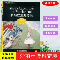 黑猫英语分级读物 中学C级11 爱丽丝漫游奇境中学生课外英语分级阅读初中生英语故事书 英语阅读训练经典名著阅读课外分级阅