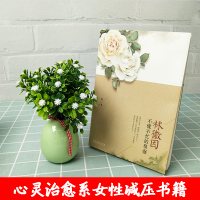 林徽因不慌不忙的坚强 心灵治愈系女性减压书籍 中国现当代随笔传 现代文学散文小说叙事型文笔书籍