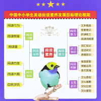 培生小学英语分级阅读80篇 适合小学四年级的英文故事小学生四年级上理解语法单词大全训练4年级课外书读物练习下册教材儿童绘