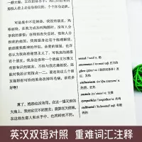 床头灯英语5000词读物 英汉对照 弗兰肯斯坦 四六级英语小说自学课外阅读心灵鸡汤世界名著英语双语读物国外名著 英语阅读