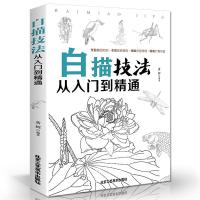 正版白描技法从入门到精通 工笔画人物花卉绘制技法大全绘制 如图