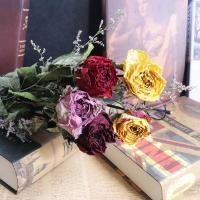 玫瑰干花花束黑魔术天然真花永生花家居装饰拍照道具插花客厅摆件 5支玫瑰+情人草(颜色随机)