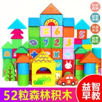 儿童积木拼装益智玩具婴儿开发智力宝宝木制1-3女孩早教3-6岁男孩 52粒森林动物数字积木袋装