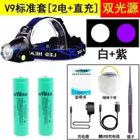 [买一赠三]超亮蝎子灯捕蝎灯紫光头灯LED强光充电头戴新款捕蝎灯 变焦双光源(白+紫) 标准套餐(2电1充）赠镊子+蝎子