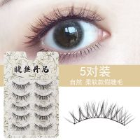 超自然假睫毛柔软仿真貂毛浓密逼真眼睫毛自然大仿真日常素颜卷翘 [假睫毛]5对装