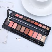 卧蚕珠光哑光眼影盒彩妆眼影盘14色眼影大地色眉粉修容高光提亮 亮999-01