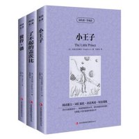 3册了不起的盖茨比小王子彼得·潘英文原版原著+中文版中英文对照英汉双语对照学生版 国外世界名著书籍套装小说青少年版 正版