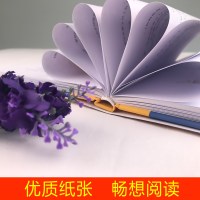 全套2册 小王子书正版 了不起的盖茨比 经典世界名著官方认可版中文译本精装版珍藏版读物外国文学原版小说书籍 书排行榜