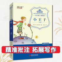 小王子青少年版经典童话小说小学生6-9岁五六年级课外童话故事书儿童文学初中生9-15岁中文原版无障碍阅读童话小说