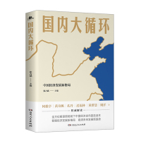 正版 国内大循环 中国经济发展新格局 更加贴近决策层的视角讲透新发展格局下的战略与机遇 厘清所涵盖的 硬核知识点