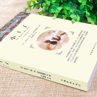 小王子 中文版 名家名译全译本原版原著中小学生儿童文学课外阅读书籍世界经典名著青少年版小学生初中高中课外书童话故事书