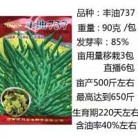 高产矮杆油菜籽种子油率高抗旱耐寒抗倒早熟杂交油菜种子榨油菜籽 丰油737[原装90克]