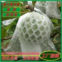 番石榴水果芭乐网套一体袋包防虫套袋番石榴保护袋芭乐透气薄膜袋 加厚款内外一体套袋 50套