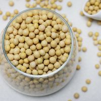 变地金发芽黄豆1斤3斤5斤豆浆黄豆 黄豆豆芽东北农家自种笨黄豆 500g(精挑细选 豆浆专用)