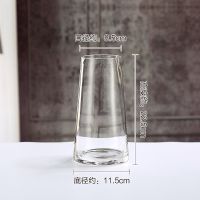 轻奢T型北欧玻璃花瓶简约透明水养插花水培百合花插干花客厅摆件 (透明T型)高22厘米