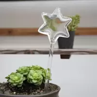 创意透明玻璃懒人自动浇花器 家庭绿植盆栽渗水器 浇水神器 星星浇花器