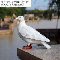 户外花园 庭院装饰品创意树脂摆件工艺品仿真鸟动物雕塑鸽子摆件 白鸽一只