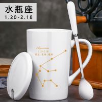 北欧杯子陶瓷马克杯带盖勺情侣学生男女家用水杯创意咖啡杯大容量 白(陶瓷盖+精品勺) 水瓶座(1.20-2.18)