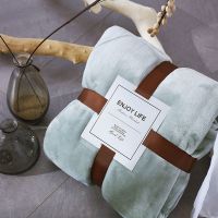 超柔法兰绒毛毯加厚保暖床单单人午睡毯休闲珊瑚绒四季毯子 抹茶绿 1*1.5米(1.2斤左右)