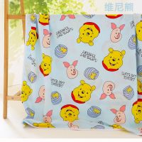夏季人造棉绵绸双层不夹棉空调被夏凉被幼儿园午睡小被子盖毯盖巾 维尼熊 70*90cm