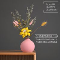 北欧ins创意玄关陶瓷高档摆件桌面电视柜干花插花家居房间装饰品 D款粉色陶瓷+如图干花