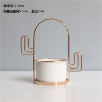 ins风仿真多肉植物迷小摆件客厅桌面北欧装饰绿植假花陶瓷花盆栽 仙人掌花架+白色陶瓷