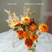 无需水养 雏菊天然干花花束家居装饰摆件插花民宿门店软装带花瓶 10朵菠萝菊+送情人草