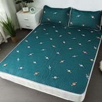 乳胶凉席两用软席凉爽垫子三件套可水洗可折叠宿舍家用夏季床垫 (乳胶凉席)墨绿星球 65*120cm(单凉席)