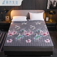 南方生活四季通用防滑薄床垫可机洗床护垫榻榻米保护垫单双人家用 遇见 90x200