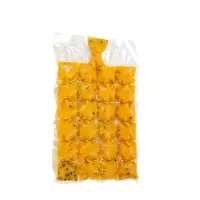 一次性冰袋冷冻百香果袋子冰格冻冰块格子模具一次性冰袋包制冰袋 1包10片无漏斗